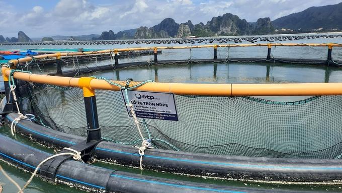 Quảng Ninh: Ứng dụng khoa học công nghệ trong nuôi biển bảo đảm thân thiện với môi trường