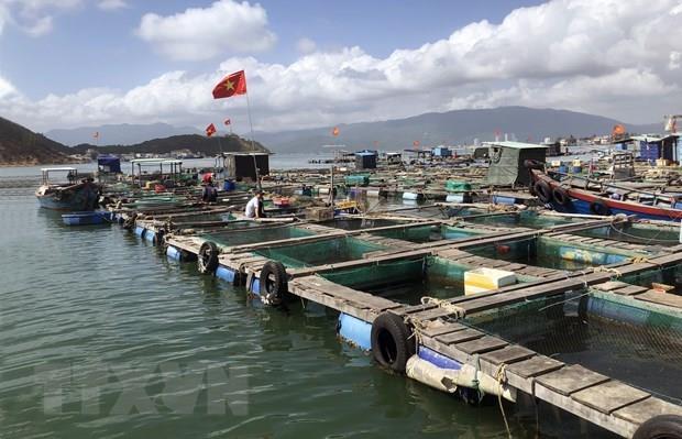 Chung tay cùng ngành thủy sản vượt khó
