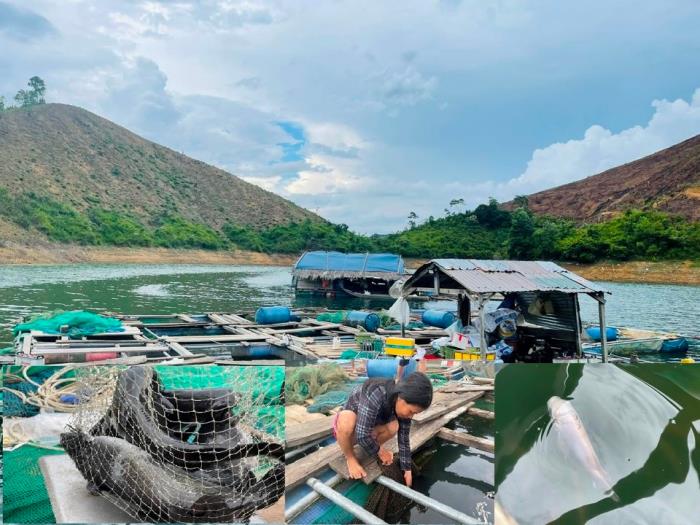 Quảng Ngãi: Tái tạo, bảo vệ nguồn lợi thủy sản để có sinh kế bền vững