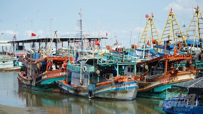 Gỡ thẻ vàng IUU - Vì tương lai thủy sản Việt Nam: Bài 1 Mạnh tay với tàu cá 3 không