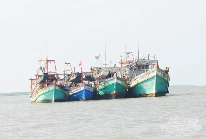 Tỉnh Kiên Giang cắt giảm hơn 700 tàu làm nghề khai thác ảnh hưởng đến nguồn lợi
