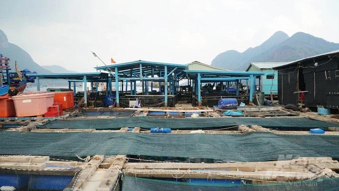 Gỡ thẻ vàng IUU - Vì tương lai thủy sản Việt Nam: Bài 4 Thủy sản xanh là đích đến