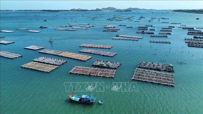 Đắk Lắk cơ cấu lại lĩnh vực nuôi trồng thủy sản