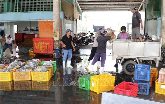 Ngư dân nâng nhận thức, đồng lòng chống khai thác IUU