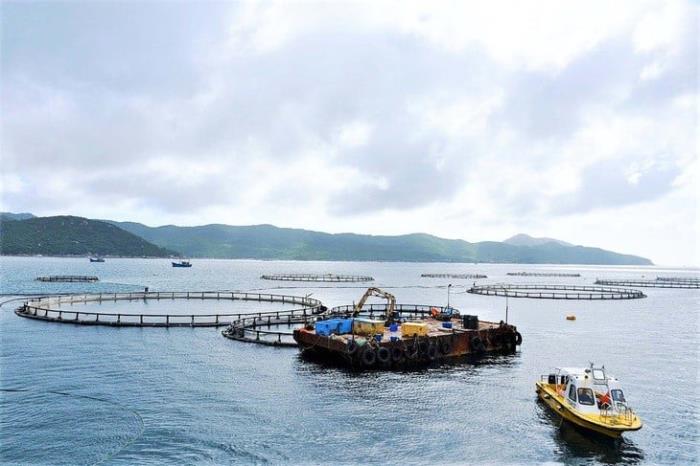 Nuôi biển công nghiệp cần cú hích từ thể chế và công nghệ