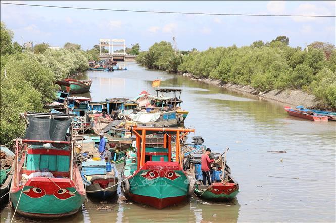Tổ hợp tác khai thác hải sản giúp ngư dân tăng thu nhập