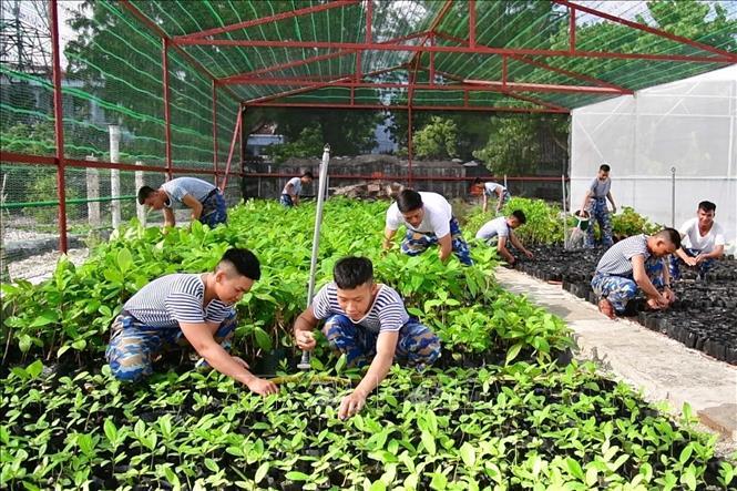 50 năm Giải phóng Trường Sa - Bài cuối: Hành trình phủ xanh Trường Sa