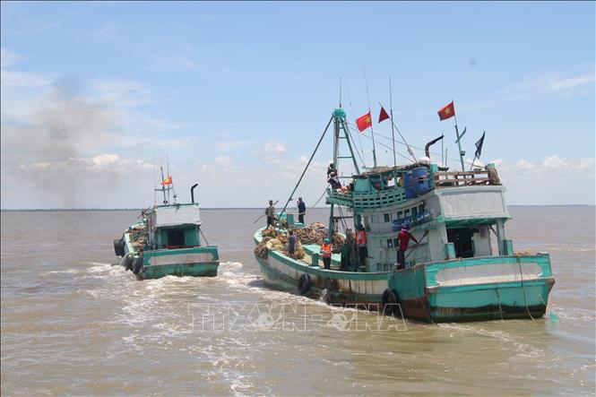 Quyết liệt đấu tranh, chống khai thác IUU