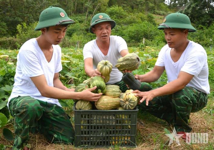 Biên phòng tăng gia trên đảo