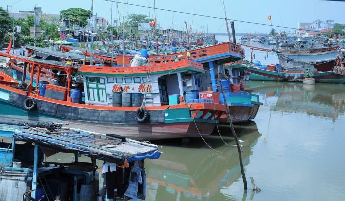 Trà Vinh có 997 tàu cá được đăng ký hoạt động