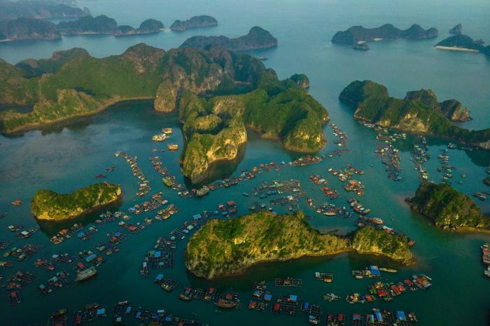 13 đặc khu của Việt Nam: Đặc khu Cát Hải dự trữ sinh quyển thế giới