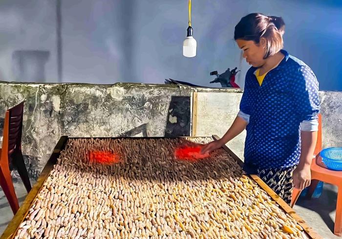 Theo dấu vàng ròng giữa lòng biển Quan Lạn