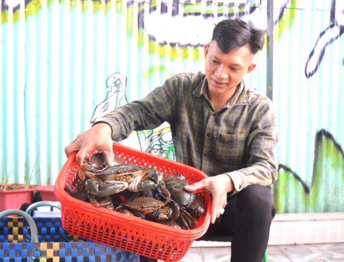 Kiên Giang đa dạng hình thức nuôi cua biển