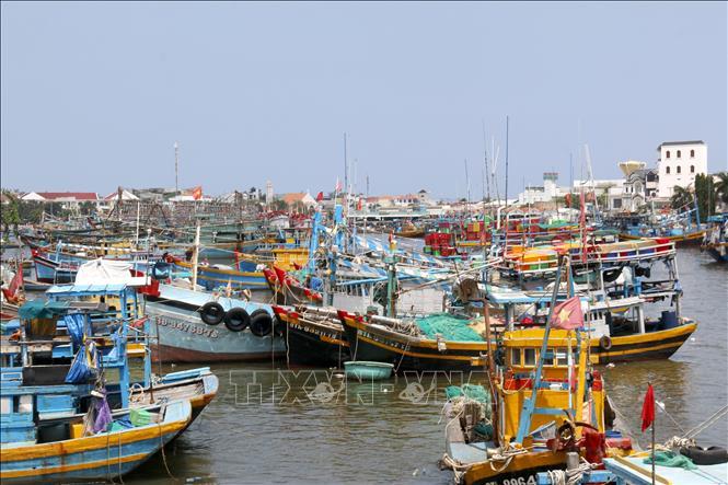 Siết chặt quản lý tàu cá, quyết liệt chống khai thác IUU