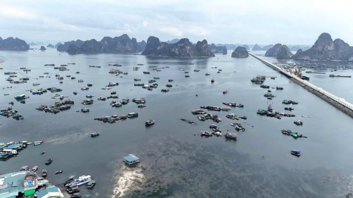 Chuyển đổi số để quản lý tàu cá tại Quảng Ninh