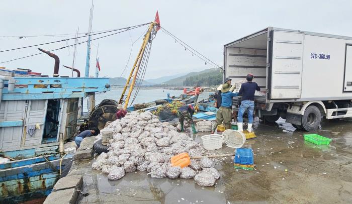 Đầu tư mạnh cho cảng cá góp sức gỡ thẻ vàng IUU