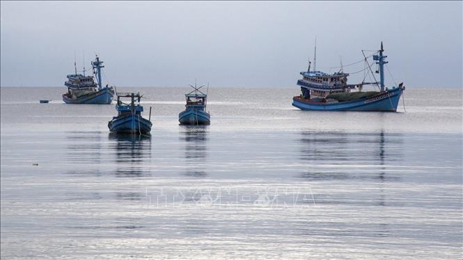 Khắc phục thẻ vàng IUU: Kiểm tra, xử lý nghiêm tàu cá vi phạm khai thác trên biển