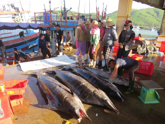 Cuối năm, đón niềm vui từ biển