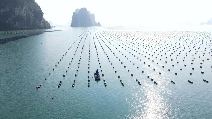 Để kinh tế biển bứt phá trong kỷ nguyên mới