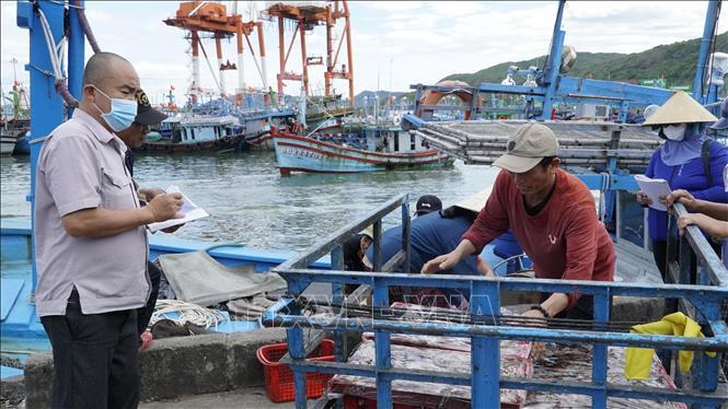 Gia Lai vận hành hệ thống cảnh báo thông minh khắc phục thẻ vàng IUU