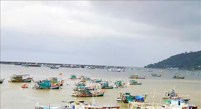 Nghị quyết 20-NQ/TW: Tạo nền tảng, hướng tới nuôi biển có tổ chức