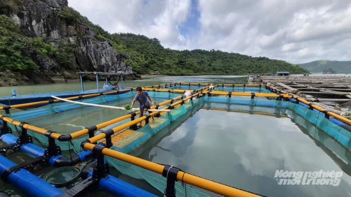 Đầu tư công nghệ, nâng tầm nuôi biển Quảng Ninh