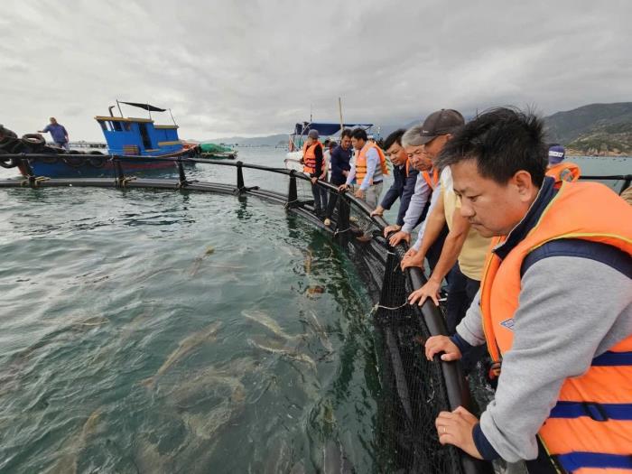 Công nghệ lồng HDPE thúc đẩy nuôi biển bền vững tại Khánh Hòa