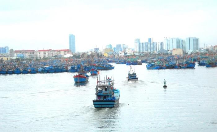 Ngư dân Đà Nẵng sẽ vươn khơi cùng QR Code và AI