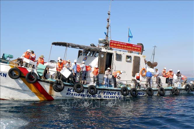 Lâm Đồng: Thả hơn 1 triệu con giống tái tạo nguồn lợi thủy sản