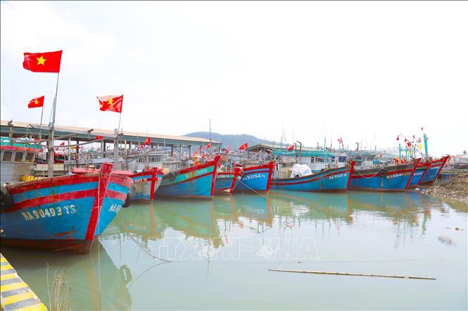 Nghệ An có 5 khu neo đậu tránh trú bão cho tàu cá đủ điều kiện hoạt động