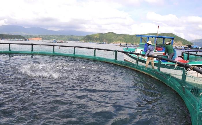 Đắk Lắk quản lý lồng bè, hướng tới hiện đại hóa nghề nuôi biển