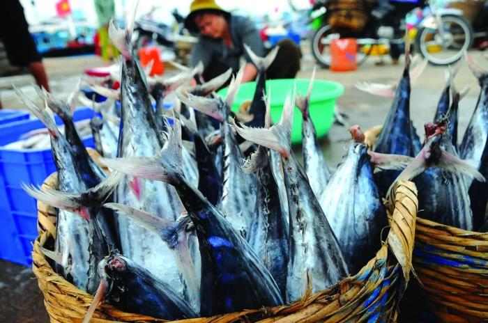 Thống nhất cách ghi tên loài thủy sản