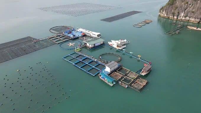 Kết nối dữ liệu, nâng hiệu quả giao khu vực biển