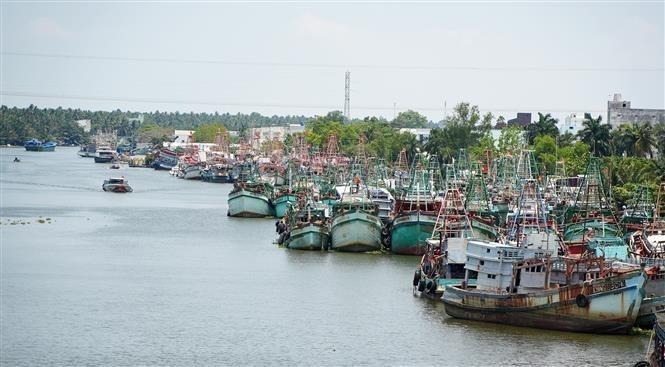 Khắc phục thẻ vàng IUU: Nâng cao ý thức, trách nhiệm của ngư dân