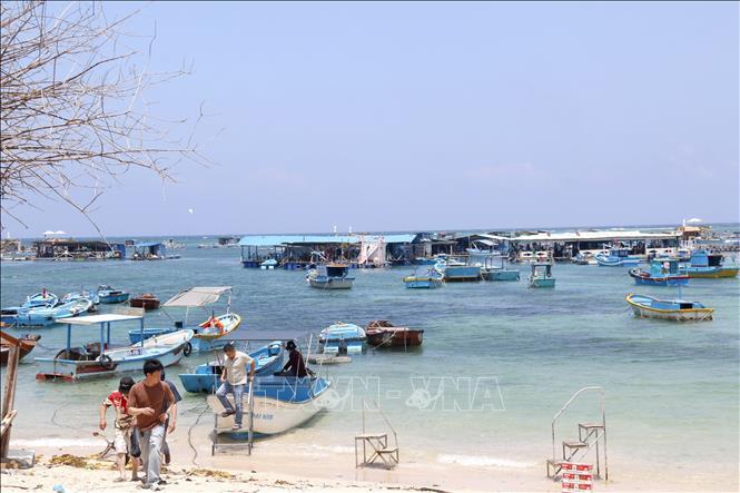 Đặc khu Phú Quý khẳng định thế mạnh từ kinh tế biển