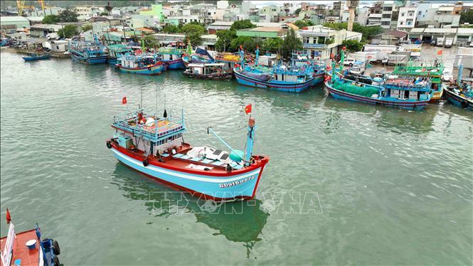 Cần Thơ: Hỗ trợ 100% cước phí thuê bao giám sát hành trình tàu cá