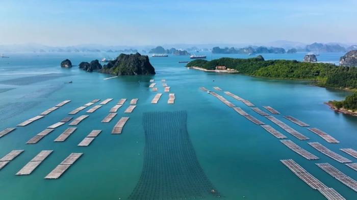 Sửa Luật Tài nguyên và Môi trường biển và hải đảo: Không để quản chặt mà mở đường ra biển lớn