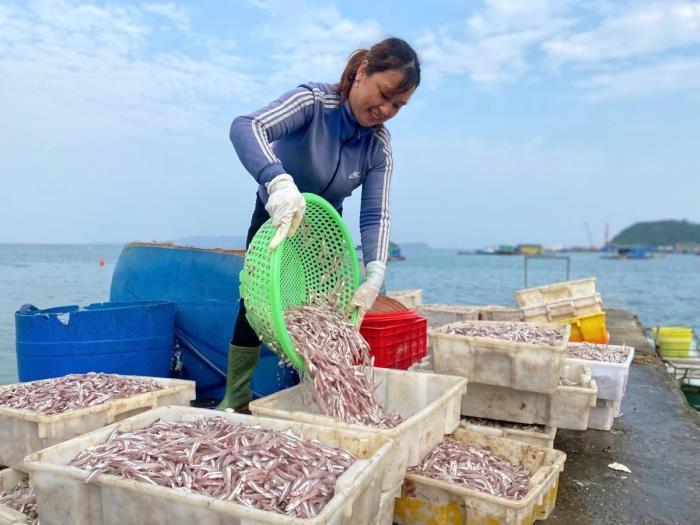 Đảo xanh: Bài 4 Hành động xanh nơi đảo tiền tiêu