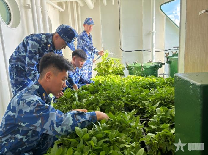 Những mầm xanh trên boong tàu cảnh sát biển