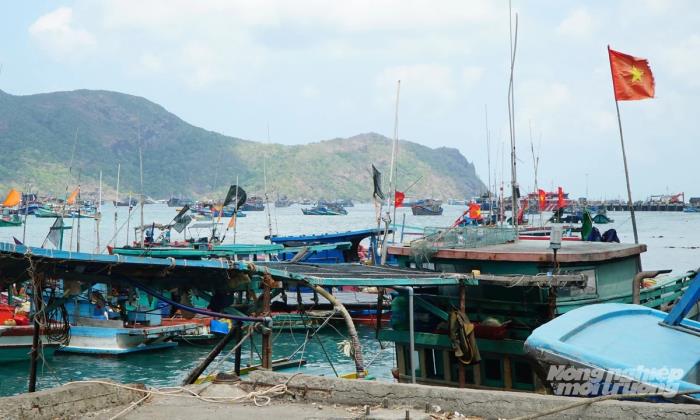 TP.HCM hướng biển đúng luật: Bài cuối Công nghệ khỏa lấp khoảng trống