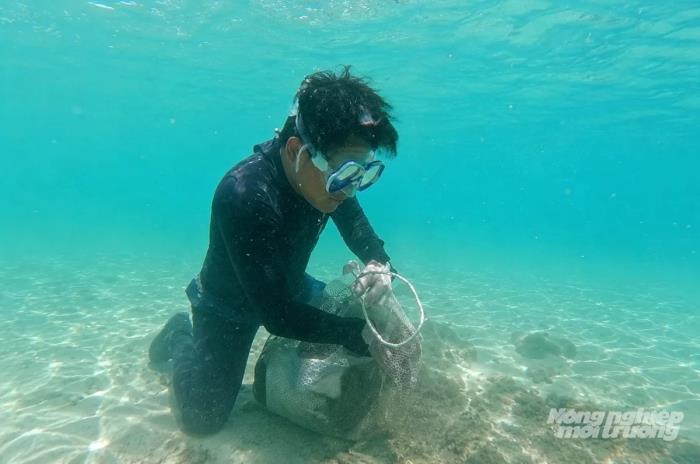Ba lực lượng phối hợp bảo vệ Khu bảo tồn biển Phú Quốc