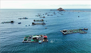 Vận dụng tối đa các chính sách thu hút đầu tư nuôi biển công nghệ cao