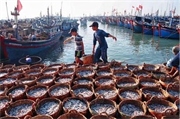 Đồng Tháp quản lý chặt đội tàu khai thác hải sản
