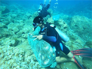 Những chàng trai tình nguyện làm ‘vệ sĩ san hô