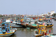 Siết chặt quản lý tàu cá, quyết liệt chống khai thác IUU