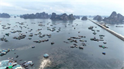 Chuyển đổi số để quản lý tàu cá tại Quảng Ninh