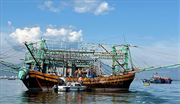 Đà Nẵng: Gỡ bỏ thẻ vàng, xây dựng nền kinh tế thủy sản hiện đại bền vững