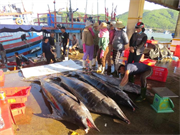 Cuối năm, đón niềm vui từ biển