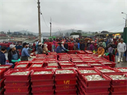 Nghệ An sẵn sàng đón Đoàn Thanh tra EC lần thứ 5