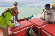 Quyết tâm lập lại trật tự nghề cá tại vùng biển đặc khu Vân Đồn